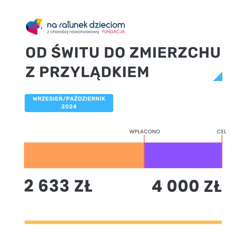Minimalist Donation Report Progress Bar Instagram Post (1)