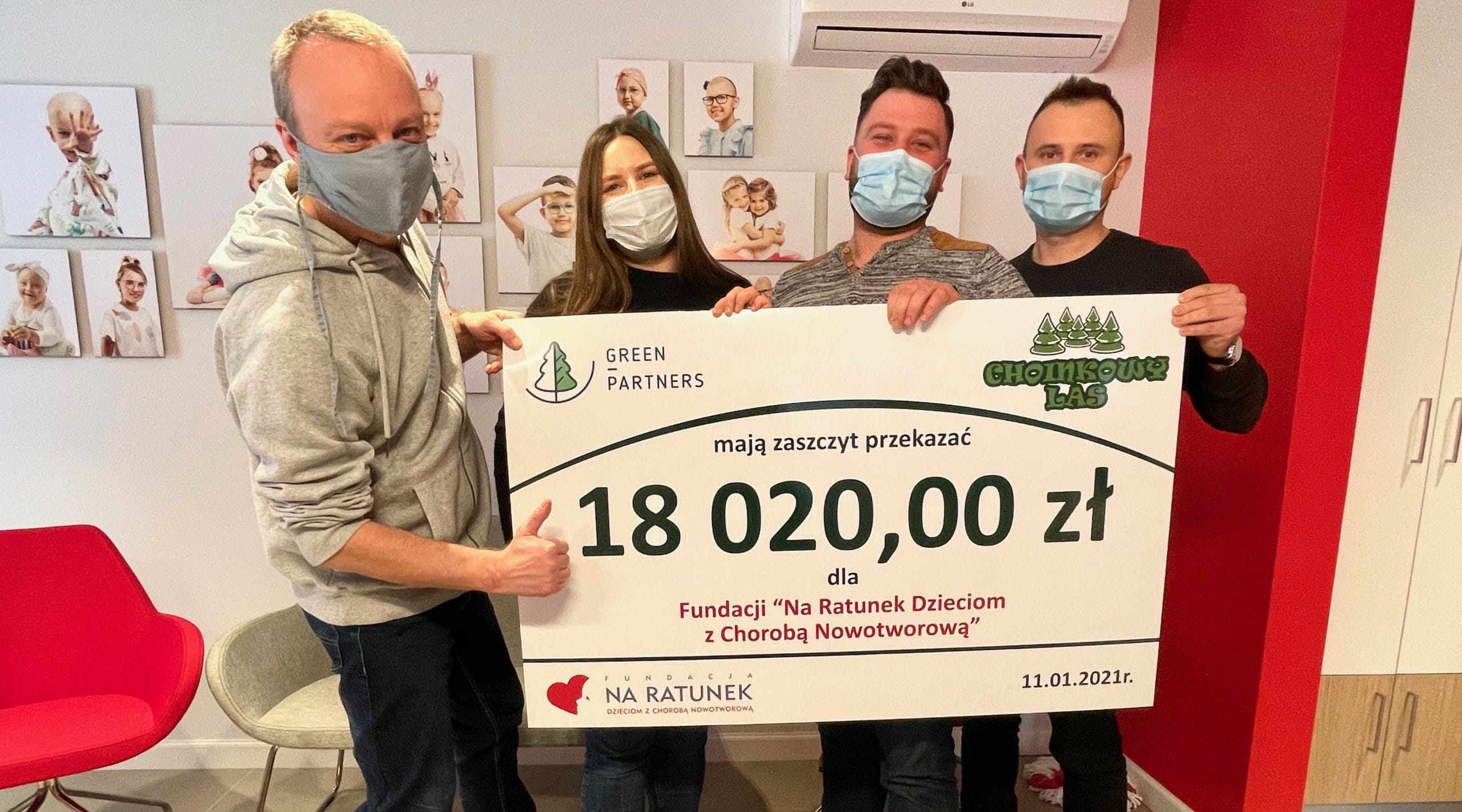 Choinkowy las Przylądek Nadziei